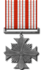 Nova Cross for Merit